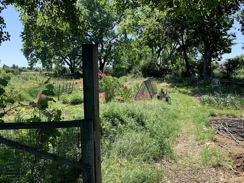 Photo of ASUCD Garden