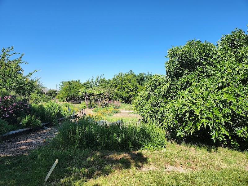 ASUCD Garden photo 2