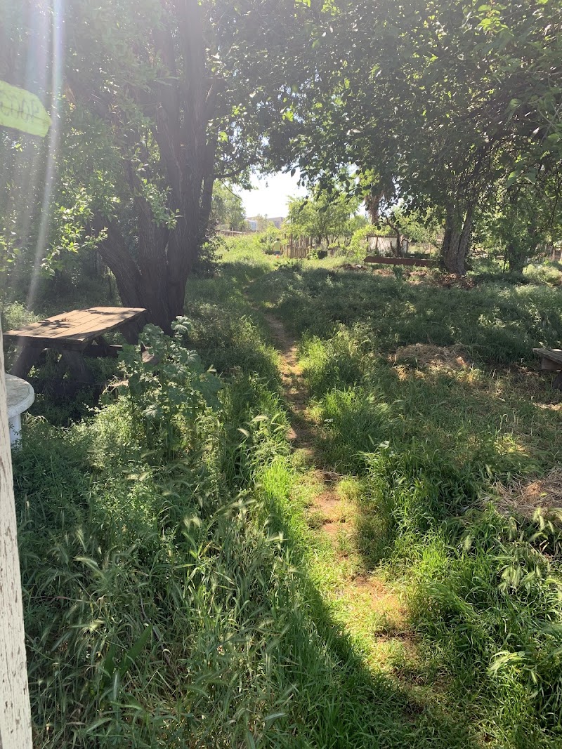 ASUCD Garden photo 5