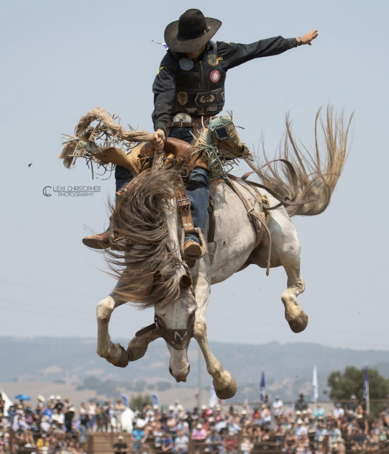 Gilroy Rodeo photo 4