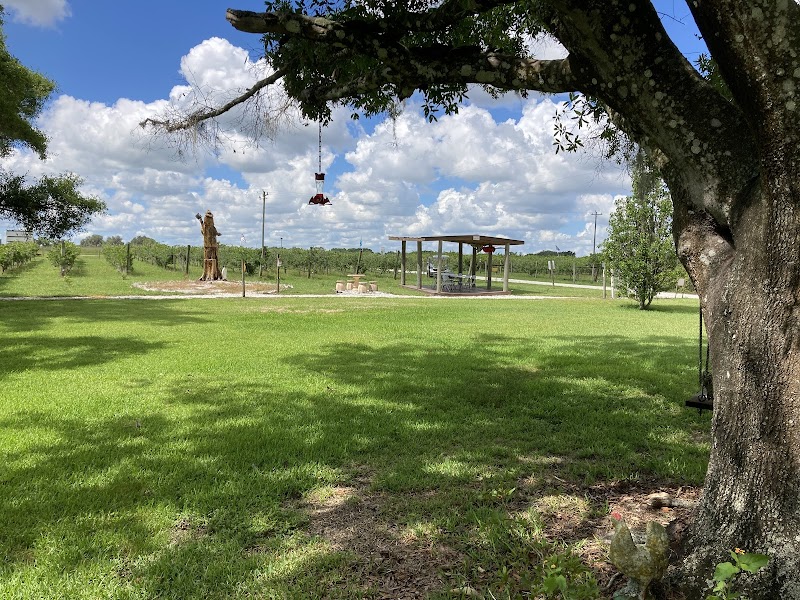 Bunker Hill Vineyard & Winery photo 5