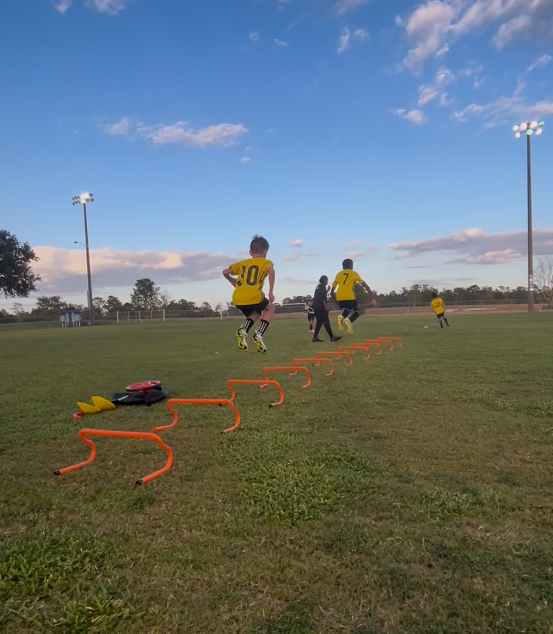 Photo of Puretalent Track Club