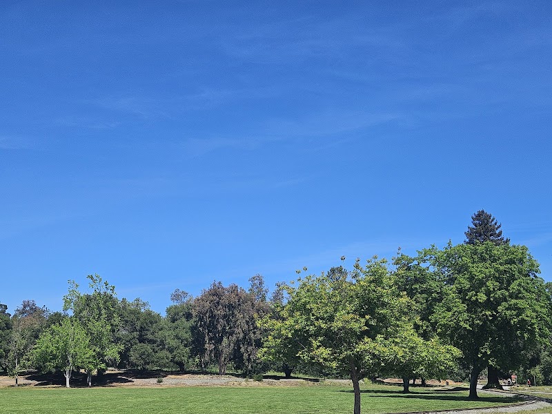 Blossom Valley Parking lot photo 3