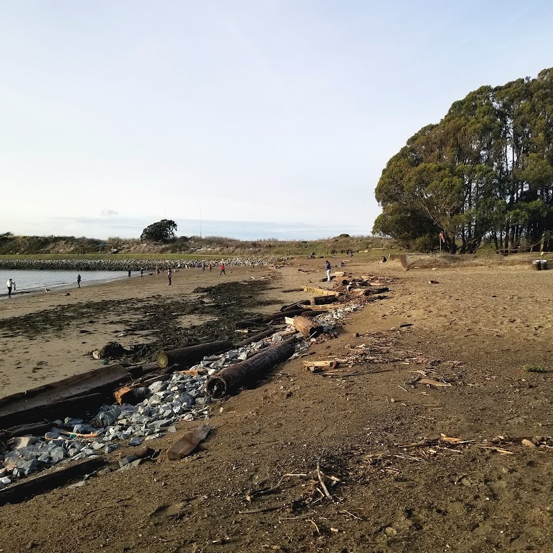 Photo of Albany Beach