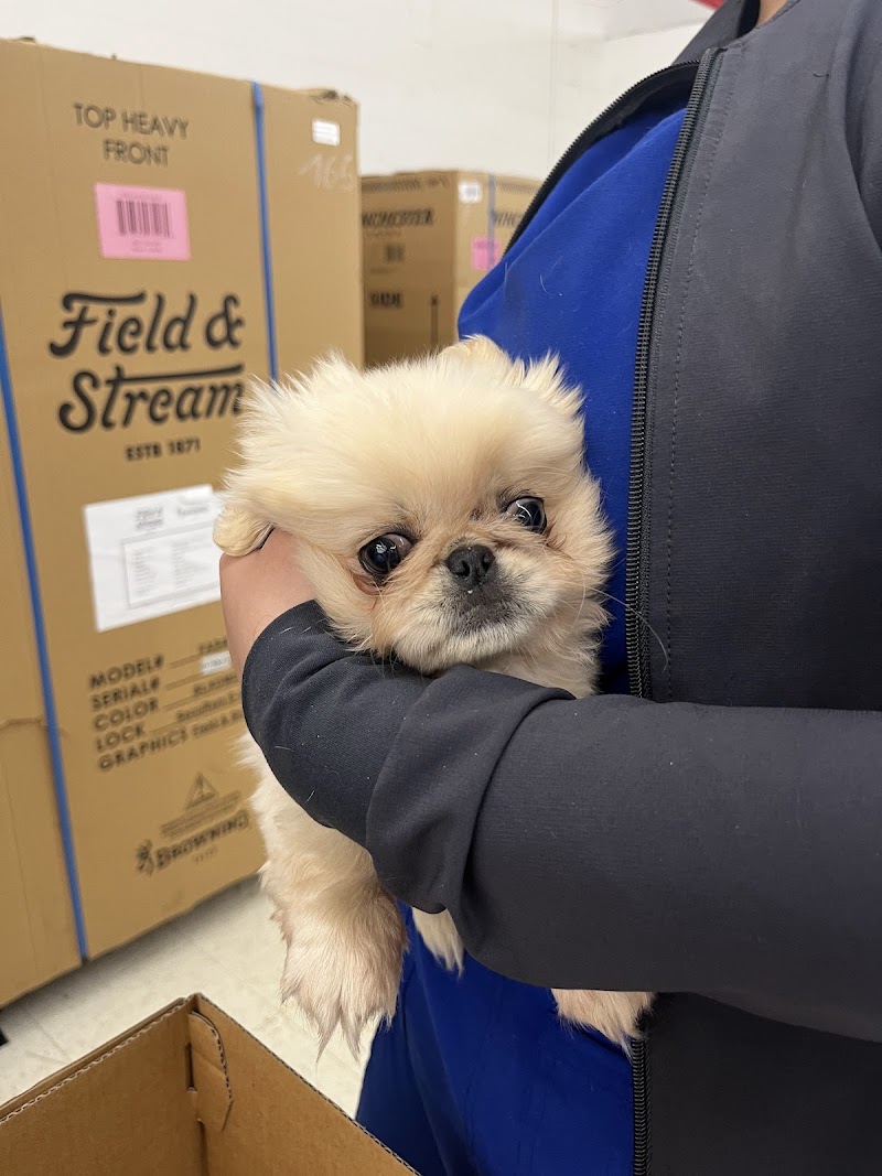 PetVet Vaccination Clinic photo 5