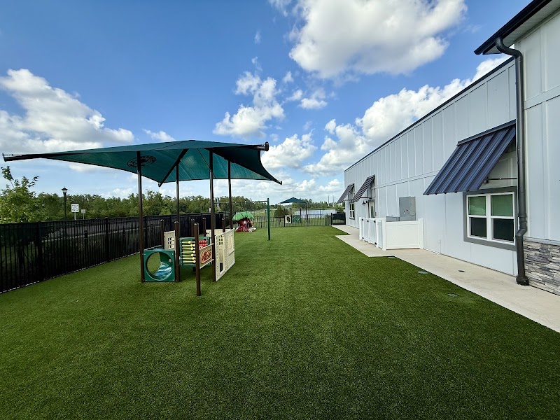 Primrose School at Wiregrass Ranch photo 3