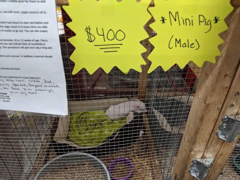 Rural King photo 5