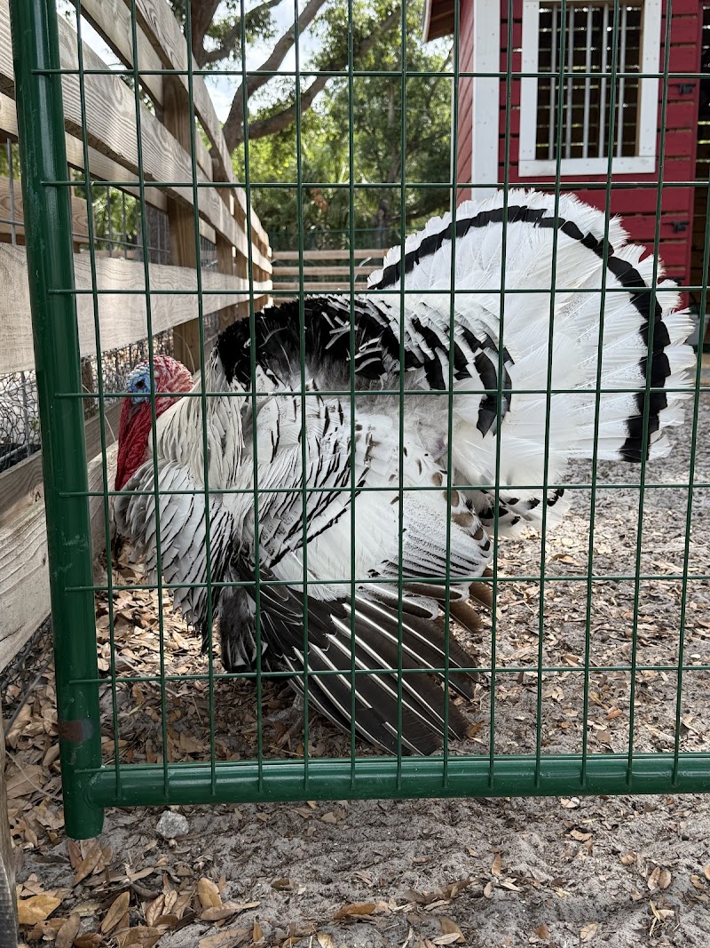 Patti Johnson Farm photo 5