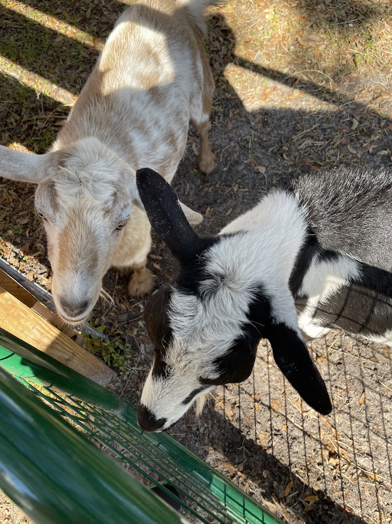 Patti Johnson Farm photo 3