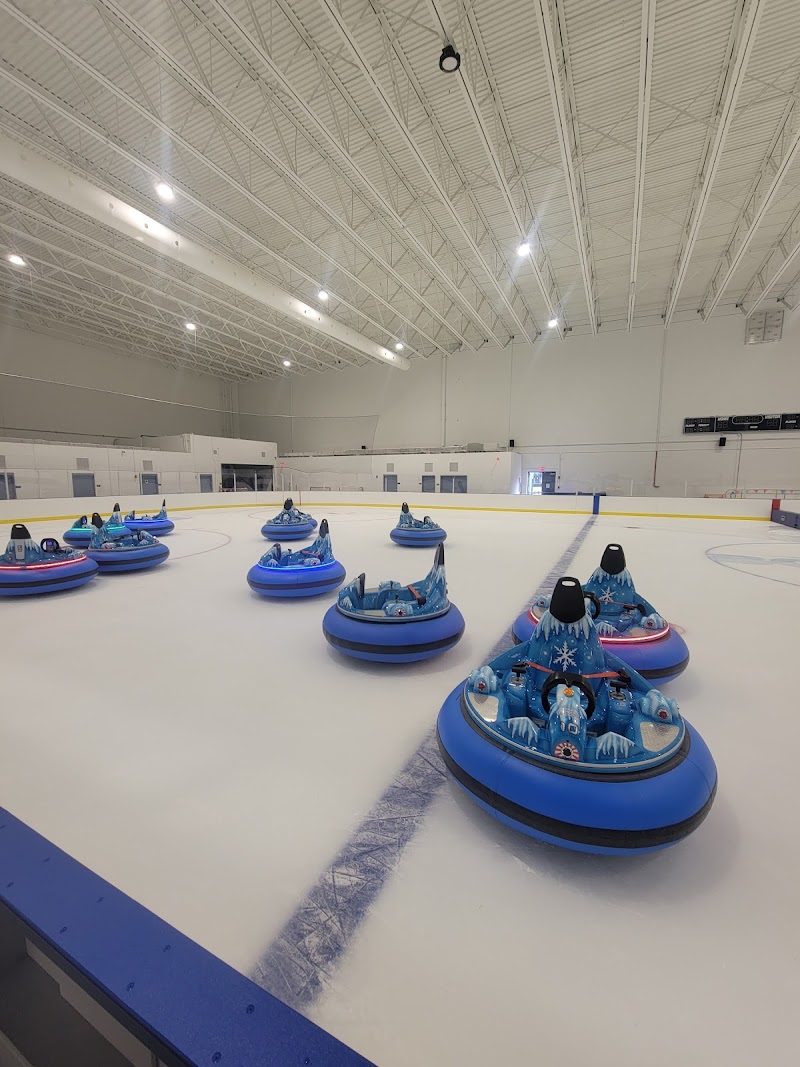 Boca Ice & Fine Arts Center photo 3