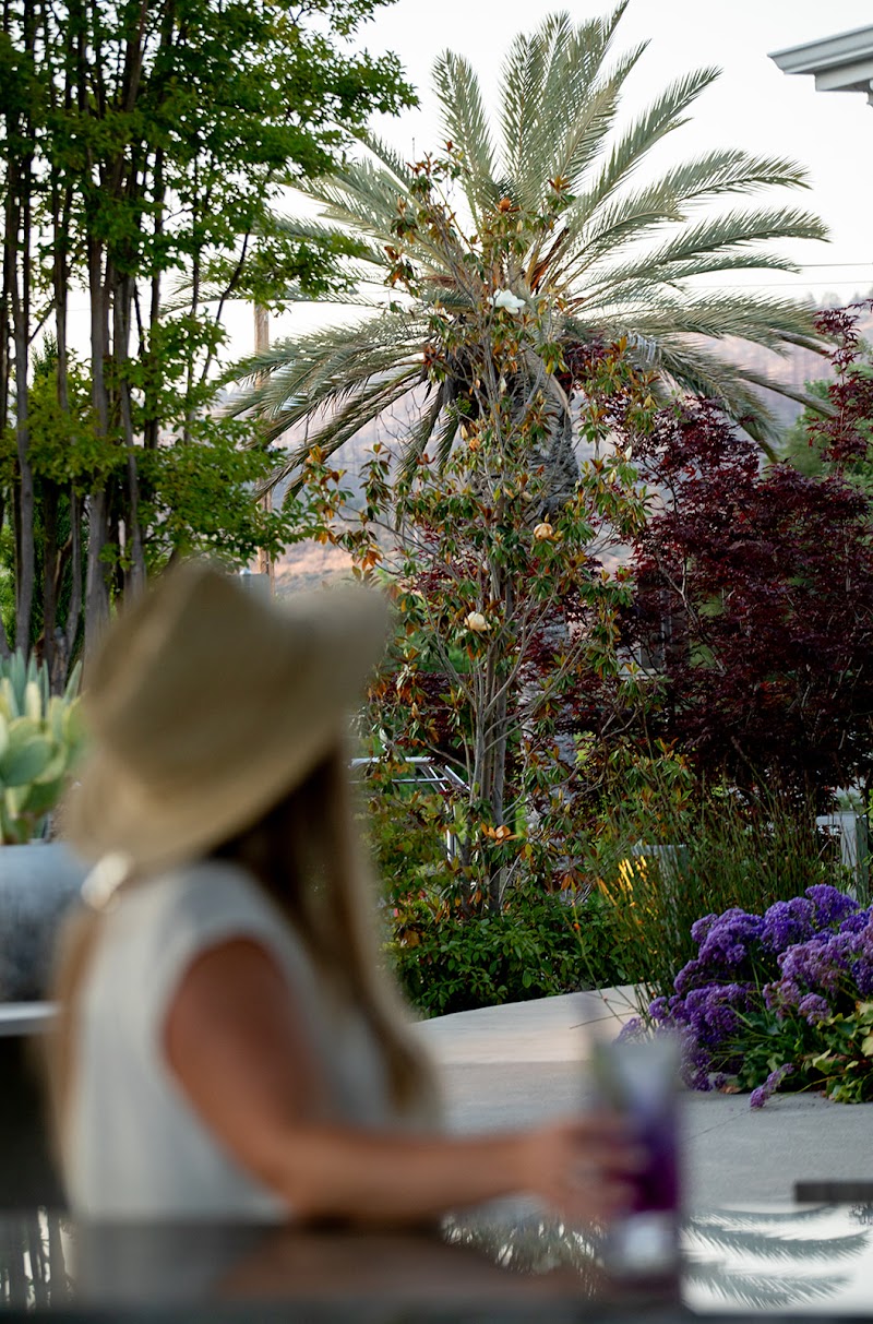 Salvia Terrace & Bar photo 3