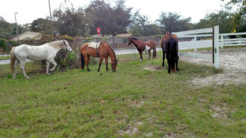 Pasco Horsemen's Association photo 3