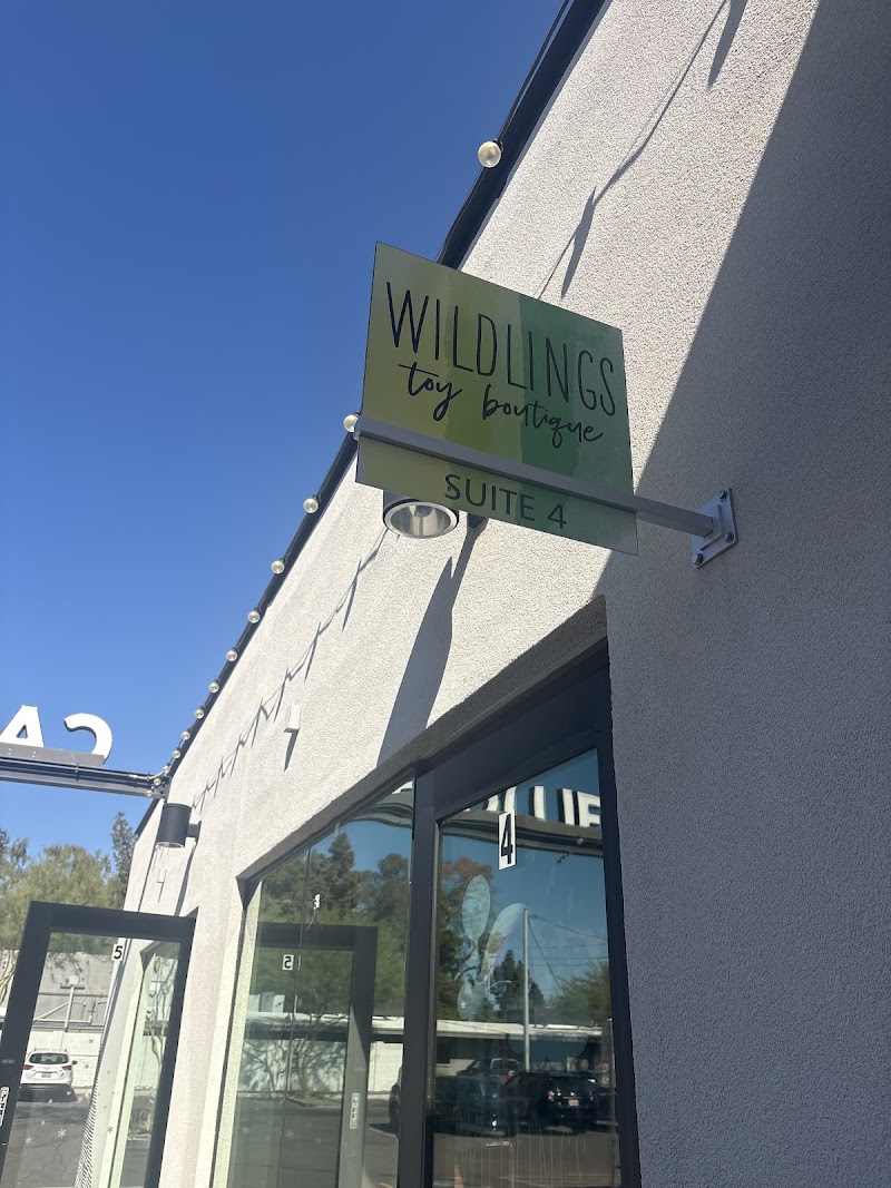Photo of Wildlings Toy Boutique