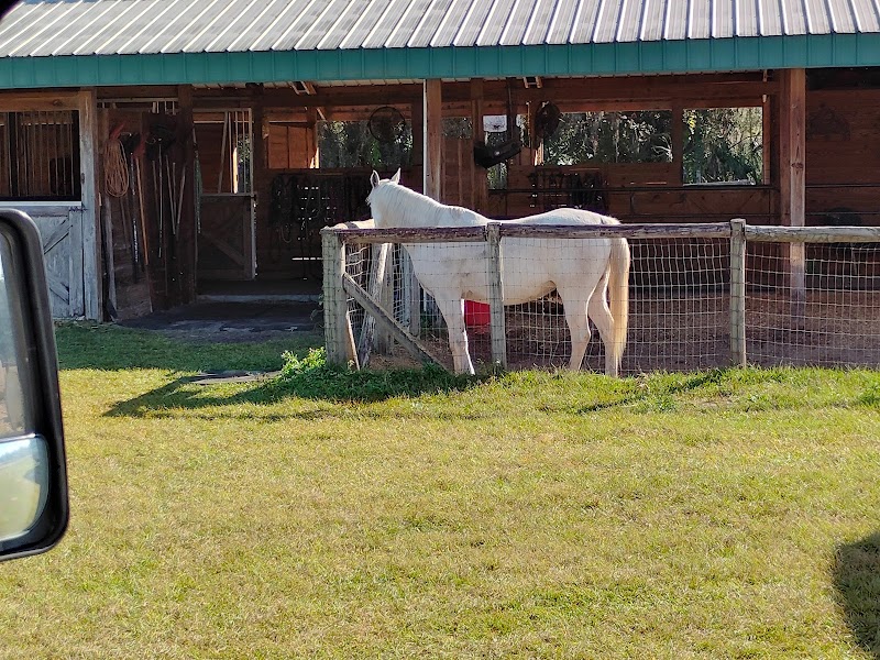 TLC's Gypsy Haven photo 2