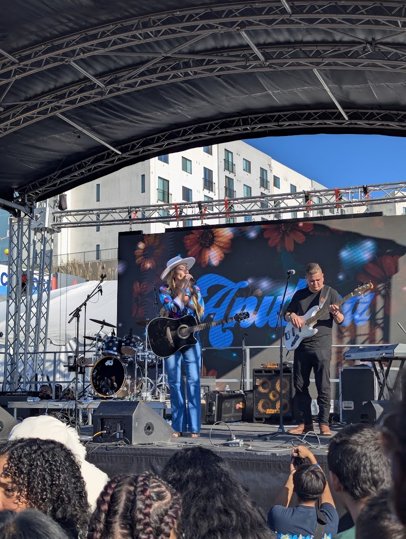 Photo of Top of the Hill Festival