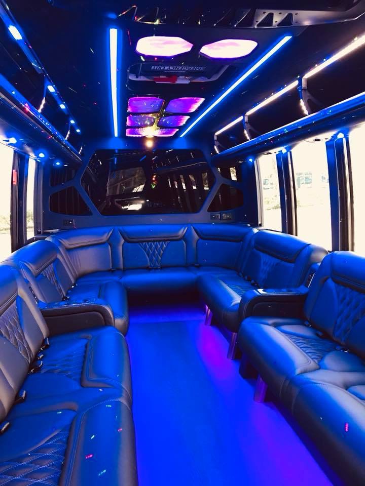 Welcome Limousine US photo 4