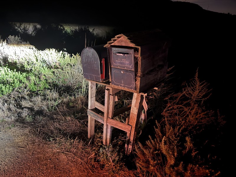 Photo of Bee Box