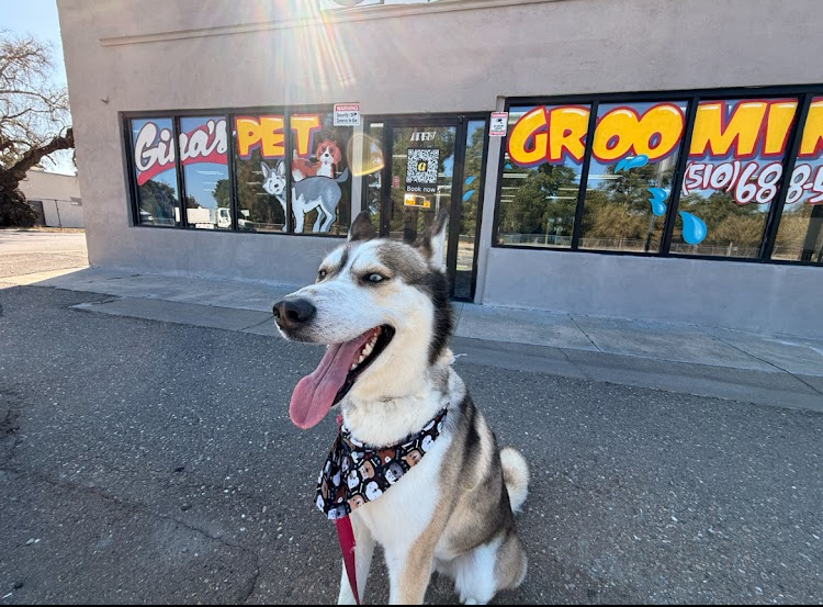 Photo of Gina's Clean & Cozy Petcare