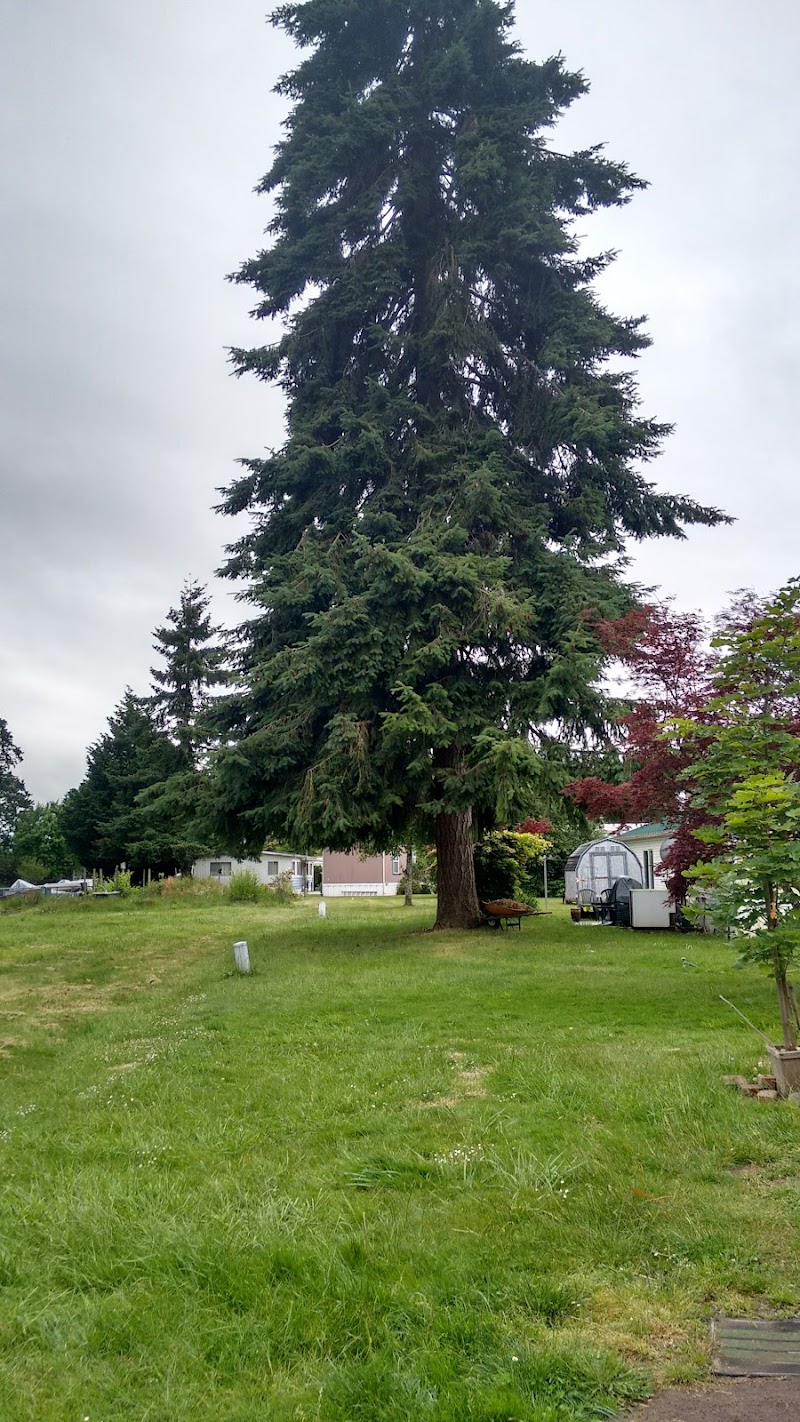 Oakvilla | Mobile Home Park photo 3