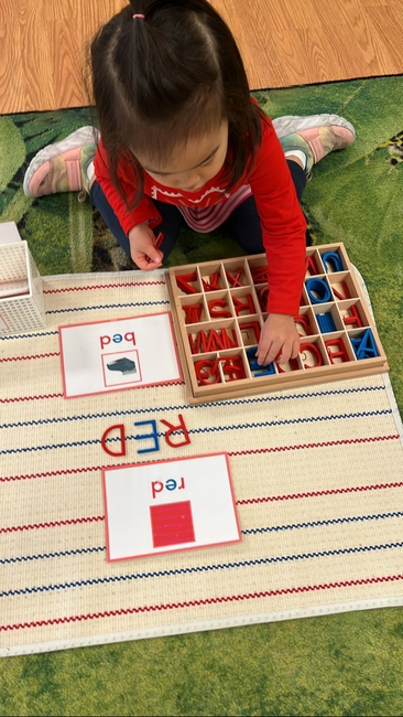 Palo Alto Academy Bilingual Montessori photo 2