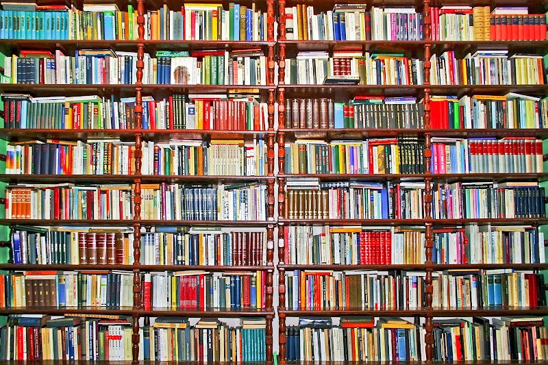 The Avid Reader Bookstore photo 2