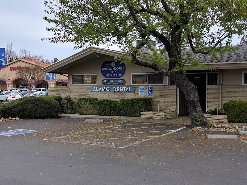 Alamo Dental photo 4