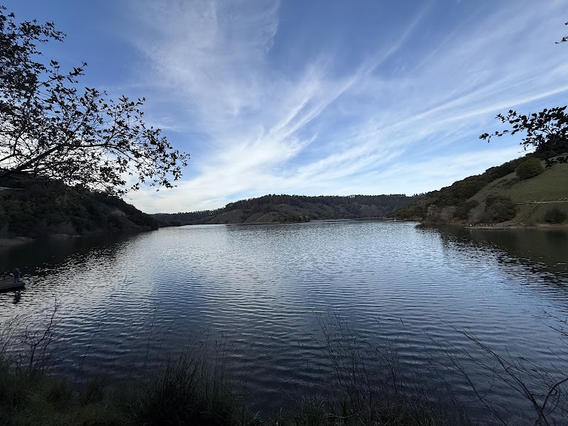Photo of Coot Landing