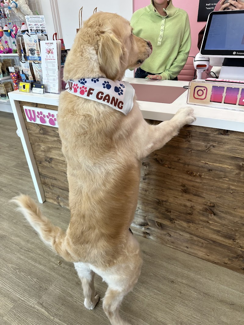 Woof Gang Bakery & Grooming Del Sol photo 3