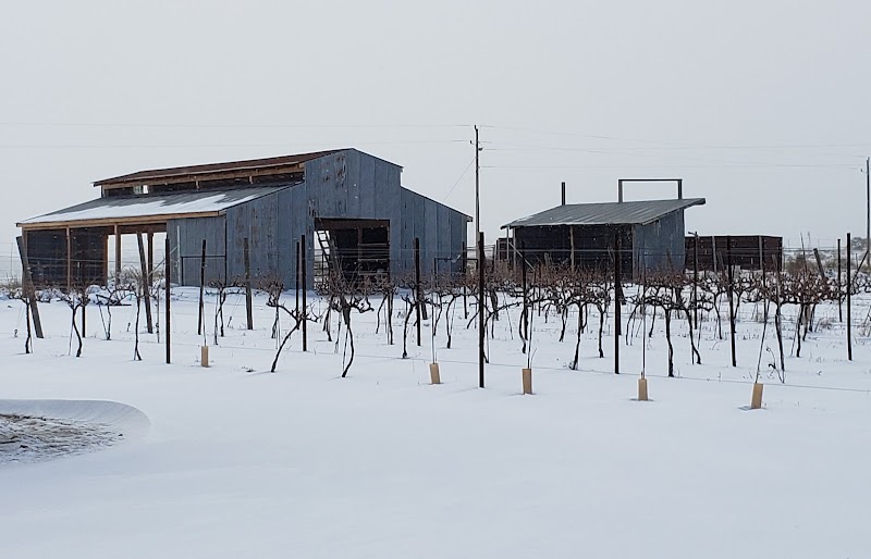 Photo of Anam Cara Vineyard and B&B