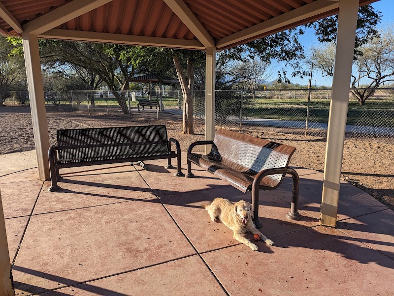 Quail Creek Dog Park photo 2