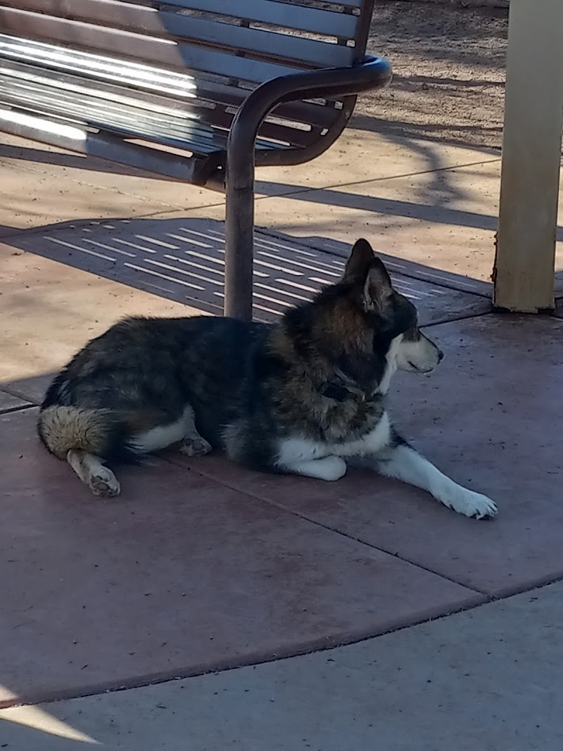 Quail Creek Dog Park photo 4
