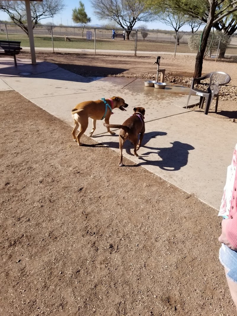 Quail Creek Dog Park photo 3