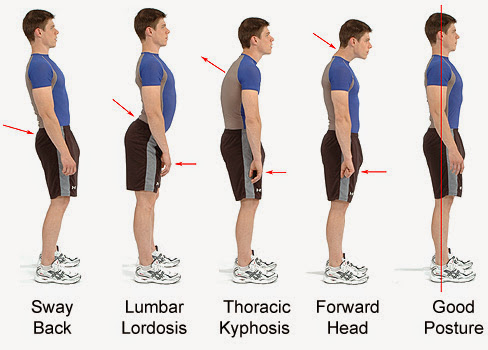 The Posture Lounge photo 4