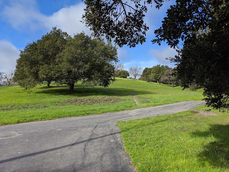 Moraga Commons Park photo 5