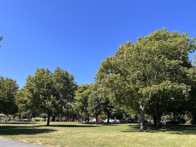 Moraga Commons Park photo 4