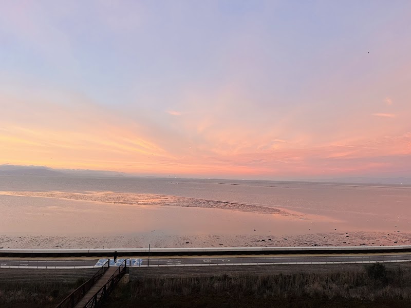 Photo of Bayside Towers | 4100