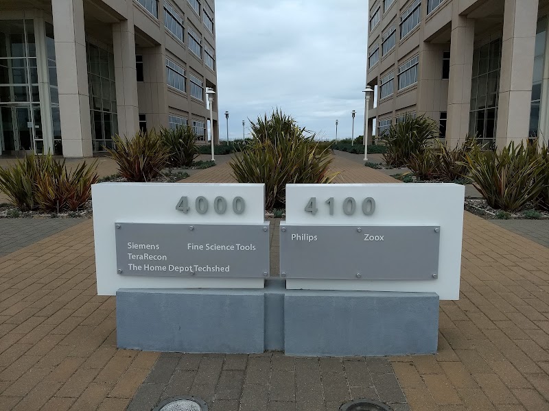 Bayside Towers | 4100 photo 4