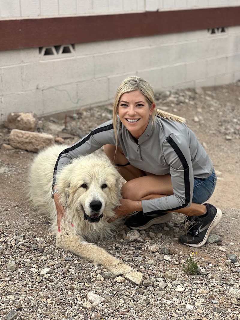 All Creatures Veterinary Services photo 5