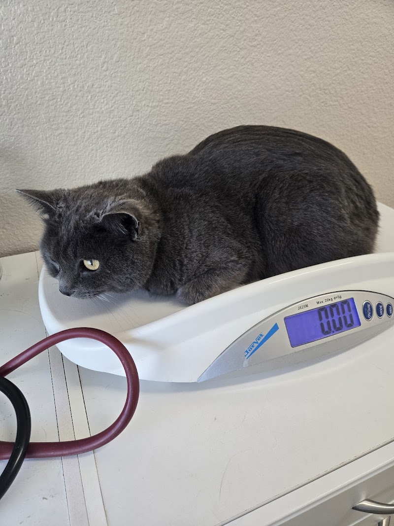 All Creatures Veterinary Services photo 3