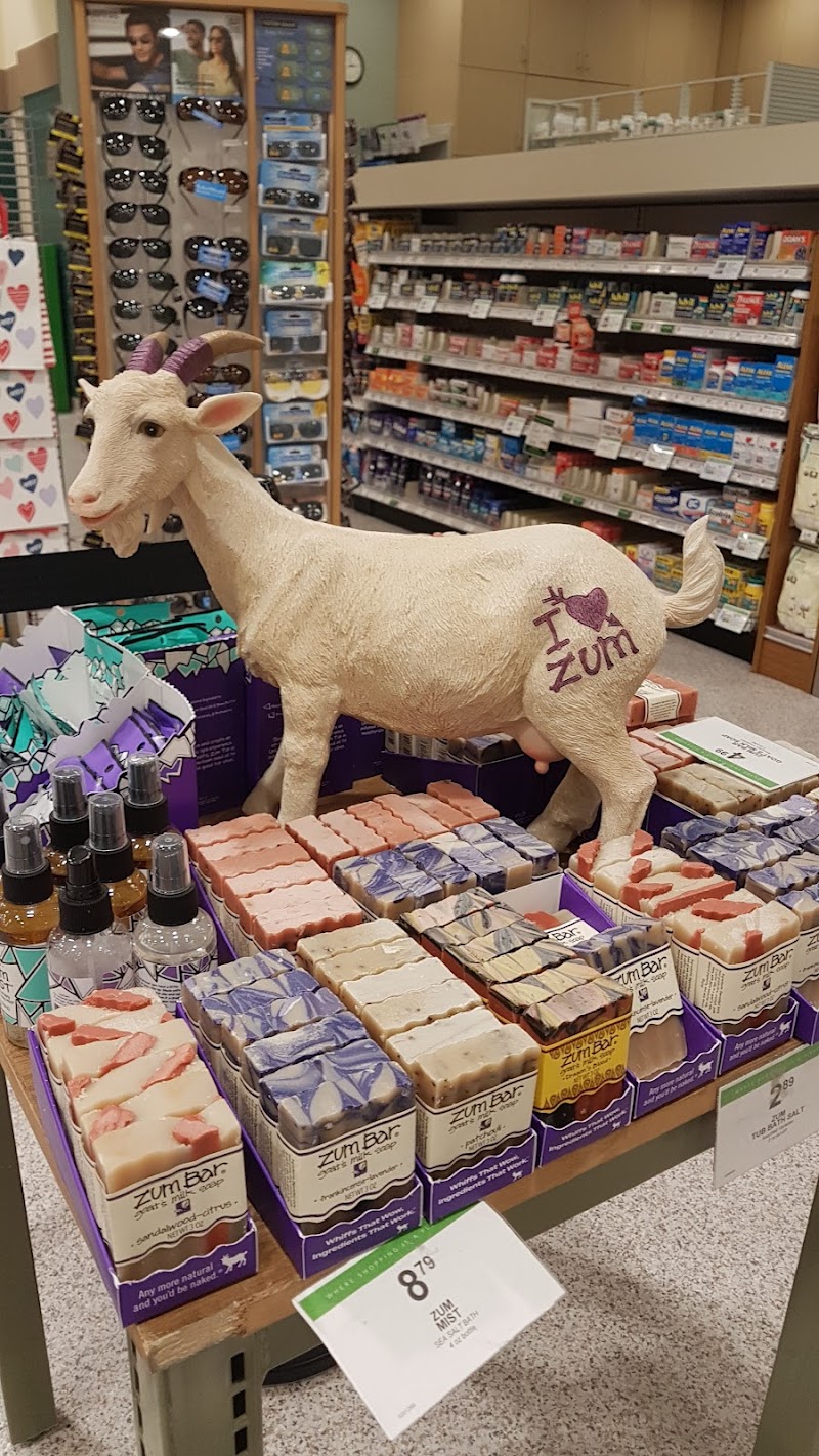 Publix Super Market at Crystal Beach Plaza photo 3