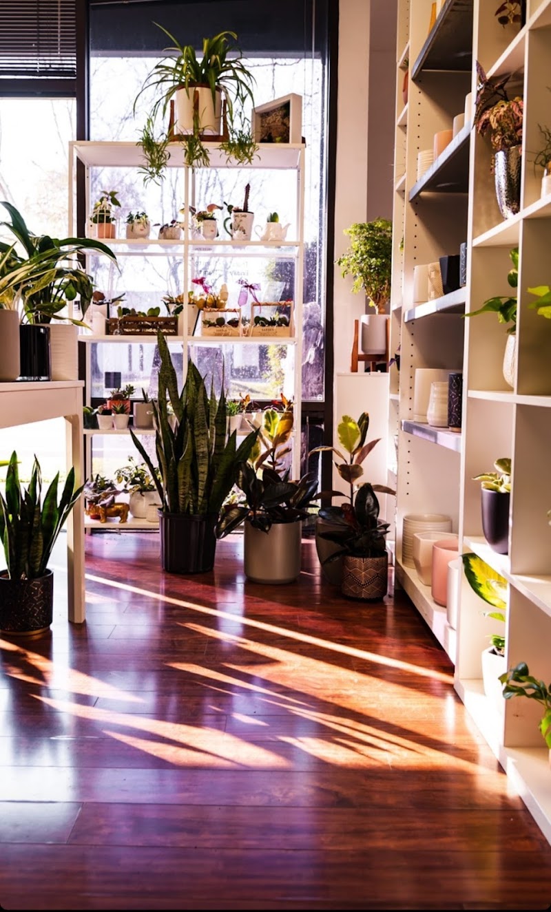 PLANT TERRA photo 3
