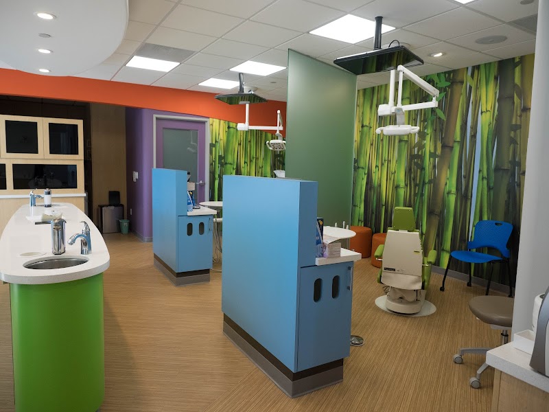 South City Pediatric Dentistry photo 2