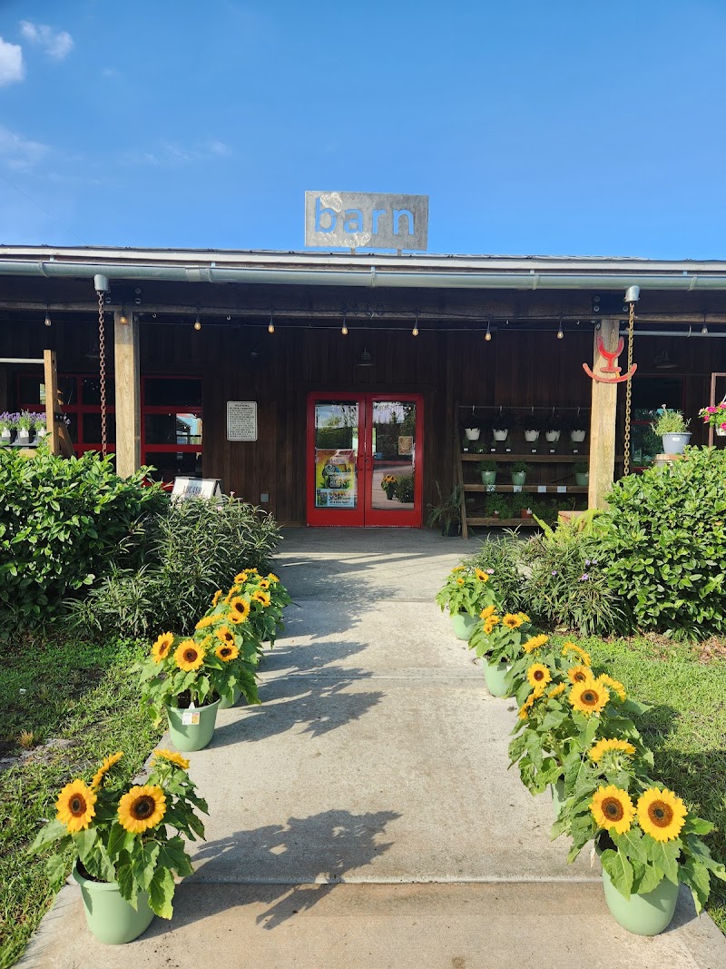 Starkey Market photo 4