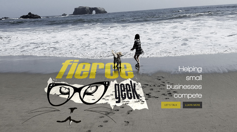 Photo of Fierce Geek