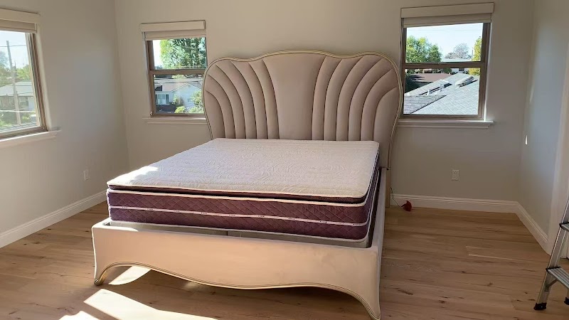 Robam老板油烟机&X Home Furniture photo 2