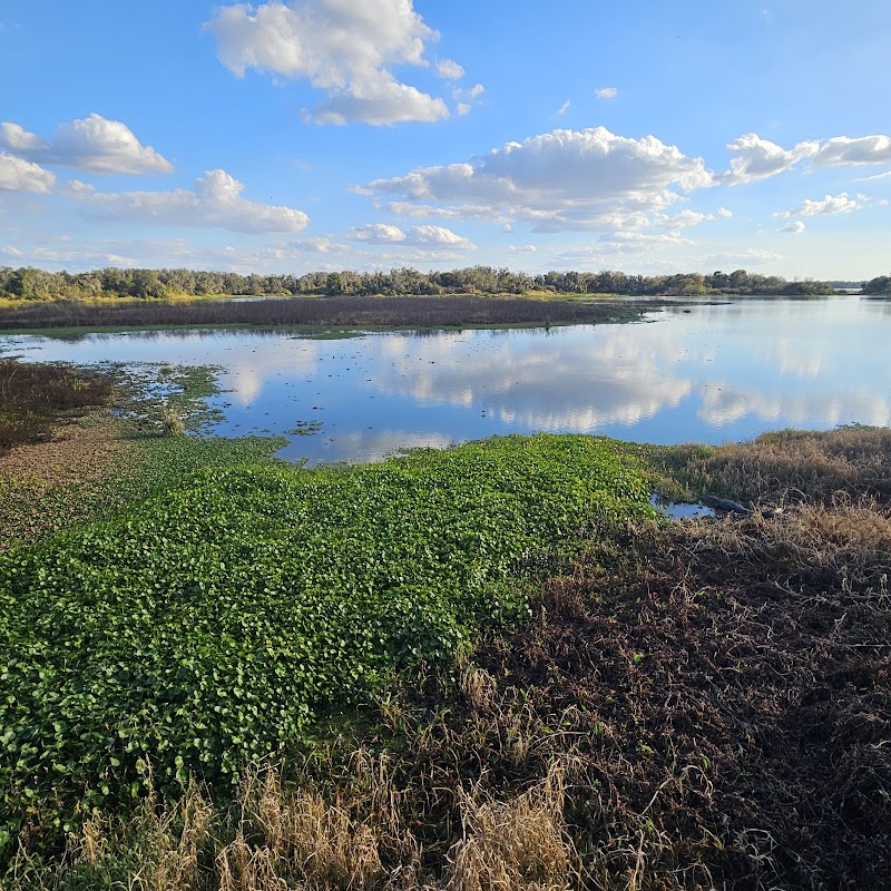 Photo of Medard Park Observation Boardwalk