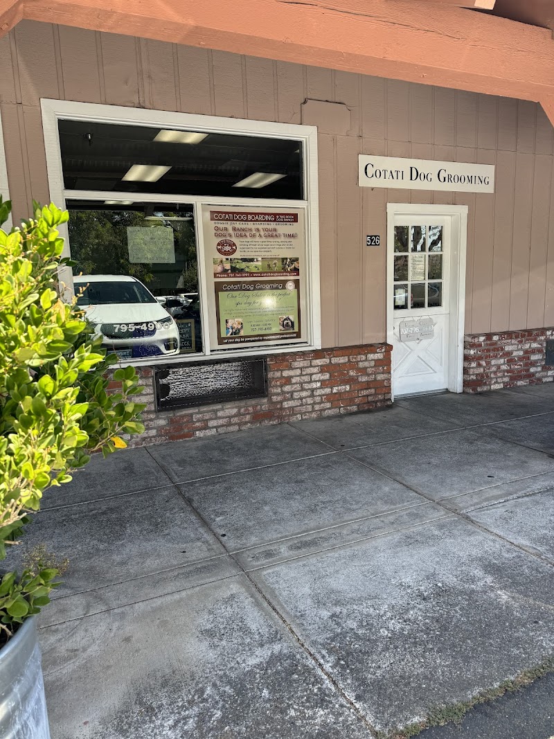 Cotati Dog Grooming photo 3