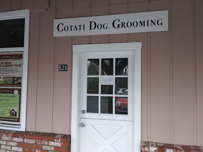Cotati Dog Grooming photo 4