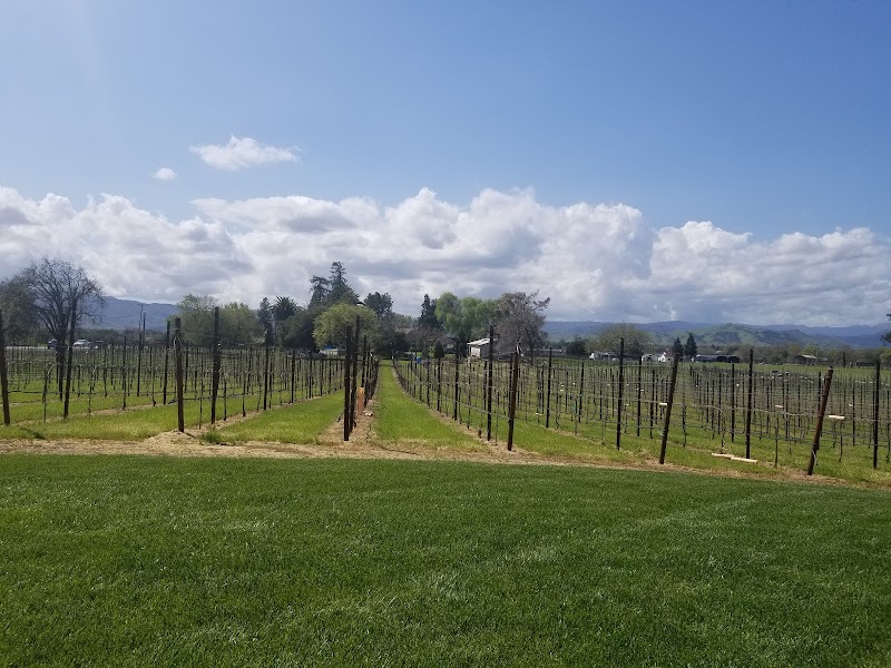Verde Vineyards photo 2