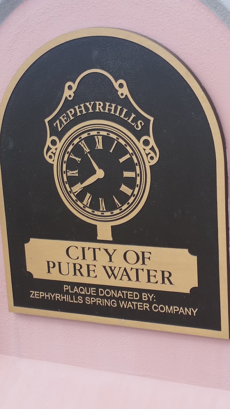 Zephyrhills Development Services photo 2
